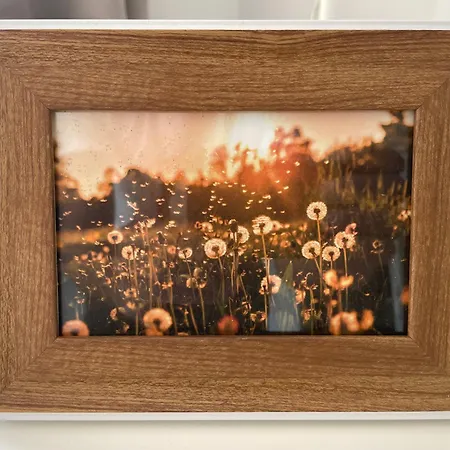 Apartamento Loreleyblick-ferienwohnung Am Rheinsteig - Und Aussicht Patersberg